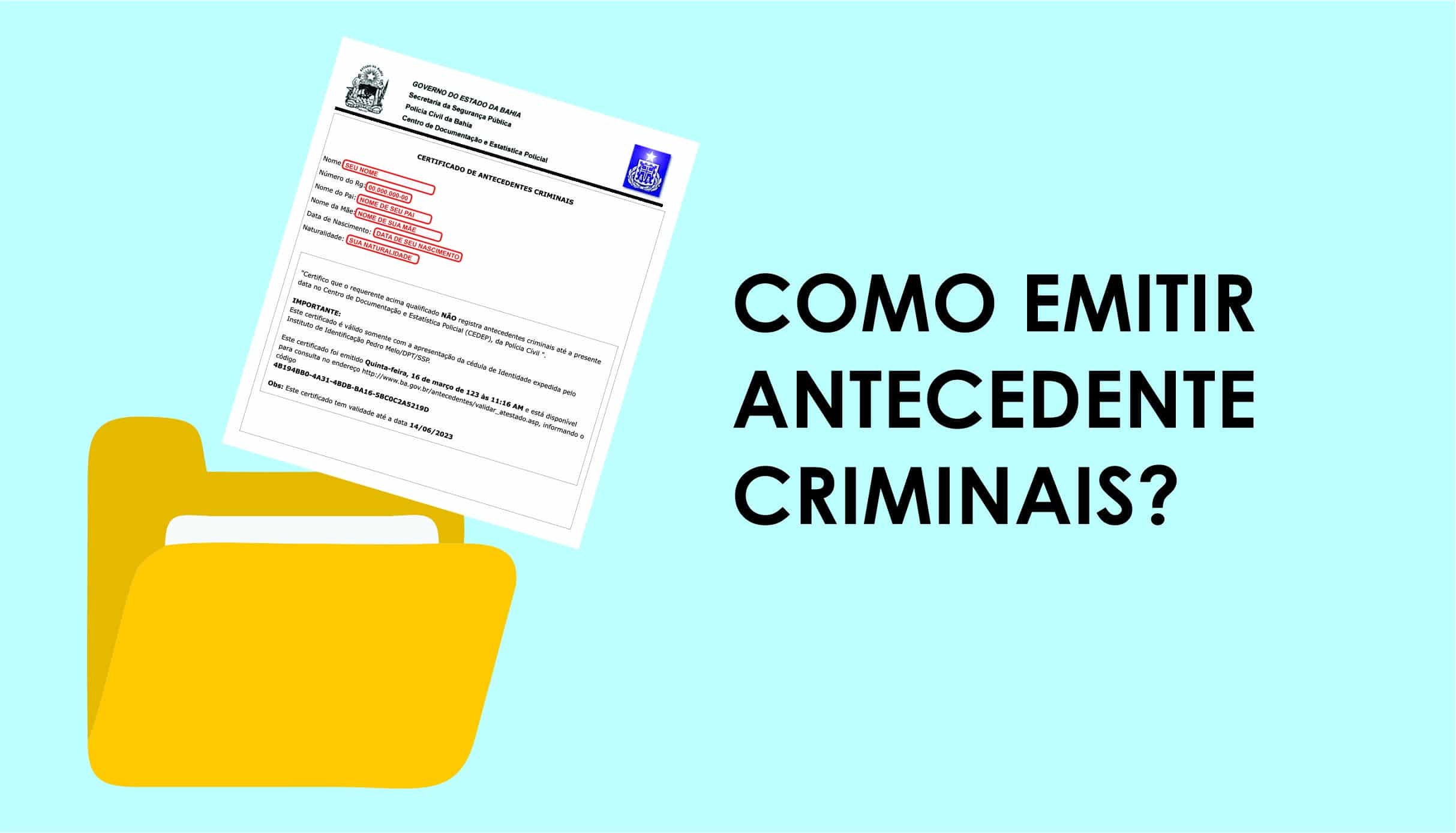 Ficha Criminal, Como Consultar Online pela Internet